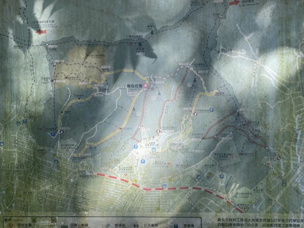 【四獸山 Short】虎豹象先行！獅山封閉中，等新步道開箱再相見2888811