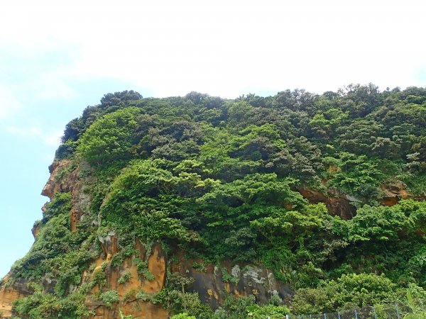 深澳岬角象鼻岩悠遊2019/7/24636561