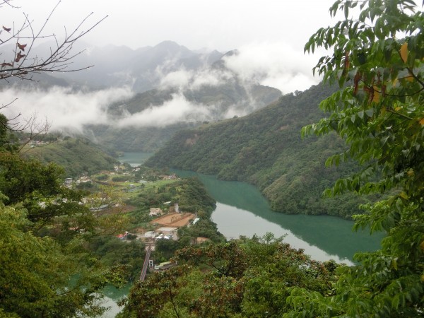 角板山梅櫻楓景239686