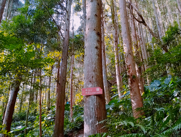 高島縱走露營推薦&路線