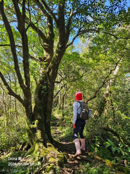 20260104源茂山.源茂山西峰.和尚髻山O走+親水觀魚步道2977723