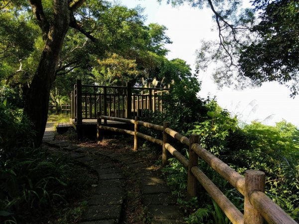 南勢角山(小百岳)-圓通寺步道U型縱走746570