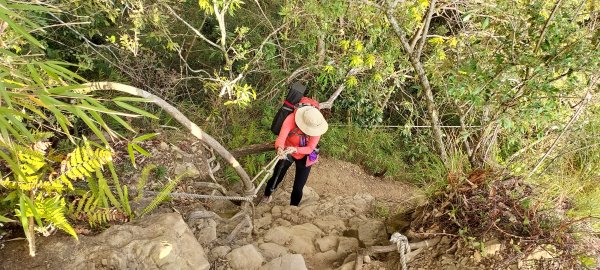 水漾森林、鹿屈山、眠月神木2729655