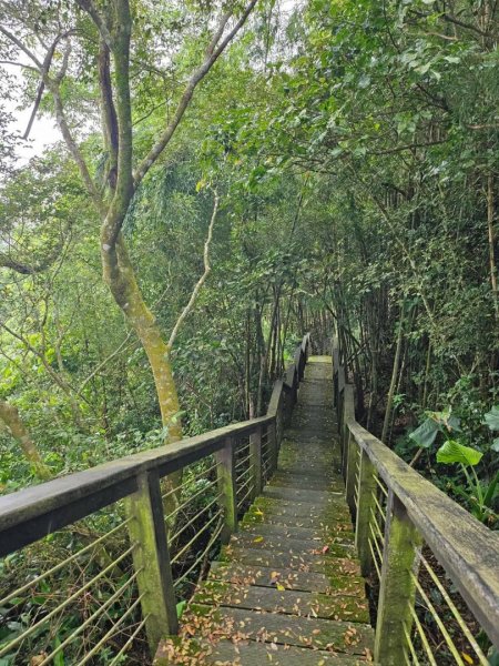 20260921 樟湖生態國小登後棟仔山挑筍古道上大、二尖山3121214