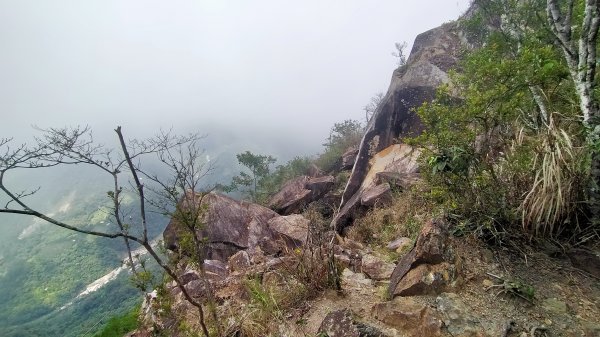 谷關七雄   東卯山1108147