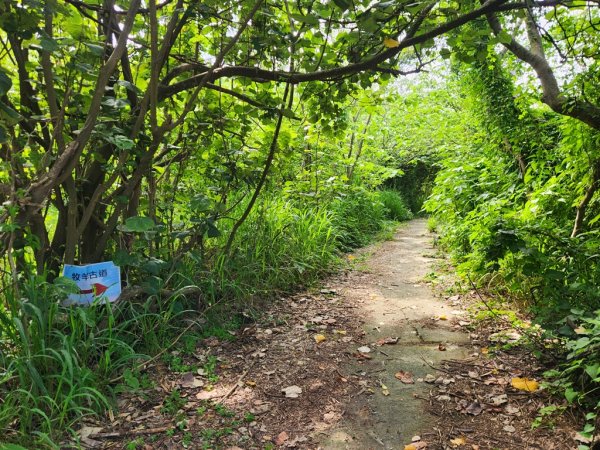 1140419龍港連走白沙屯(含好望角,牧羊古道,舊鐵道,海角樂園,山邊媽,白沙屯)2767286