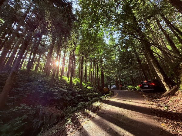 加里山O繞20250713(大坪登山口-杜鵑嶺-加里山-避難小屋-大坪登山口)2836890