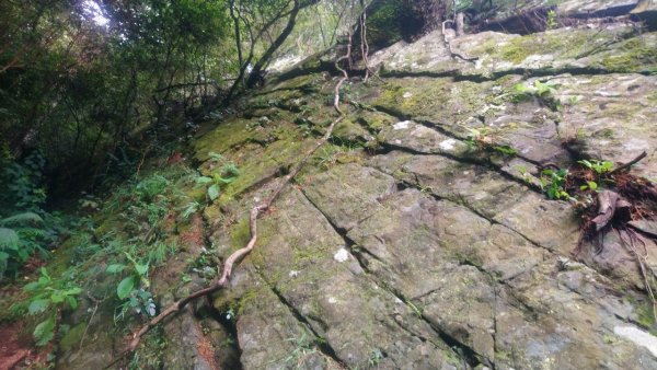 坡很陡的波津加山(老四)1835014