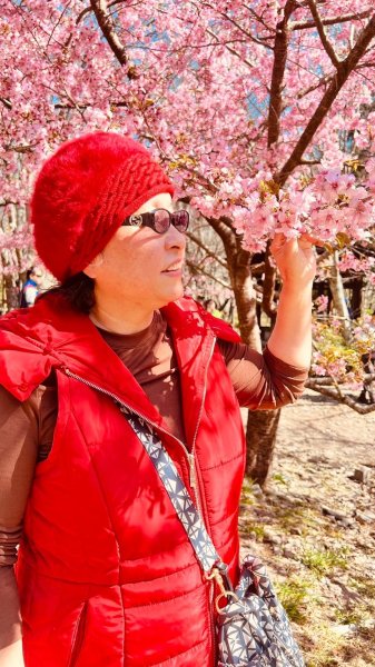 🌈2/16(日)-17(一)福壽山+武陵農場賞櫻🌈🌸FB：熊熊趴爬走 歡迎加入2714884