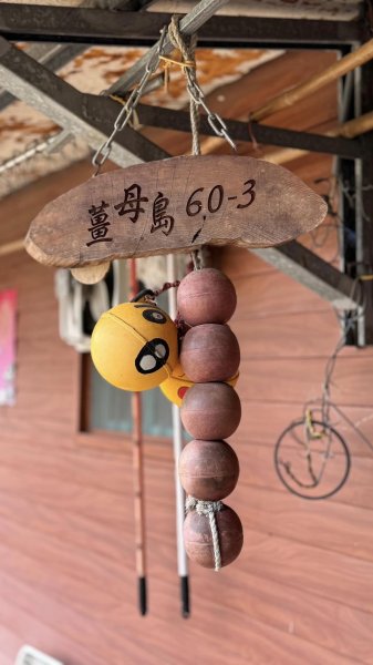 20240429 桃園復興枕頭山薑母島2492263