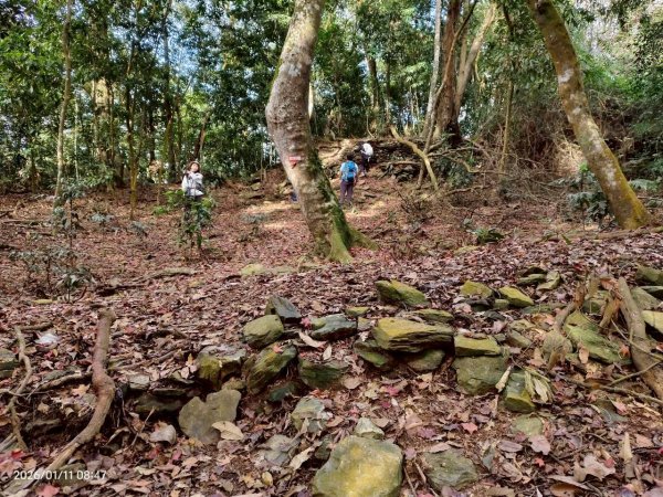 🌈1/11（日）六龜警備道~小百岳~鳴海山×網子山✨FB：熊熊趴爬走🌈2980539