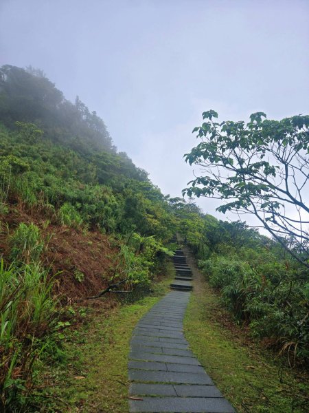 雨後，五分之美，十分愜意2755774