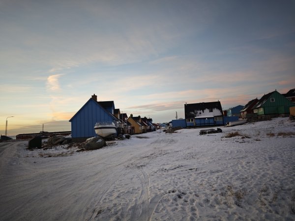 [紐約馬之行-32] 2025_1106 格陵蘭犬2947915