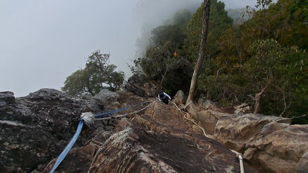 台中 鳶嘴稍來山O繞+稍來神木2989473
