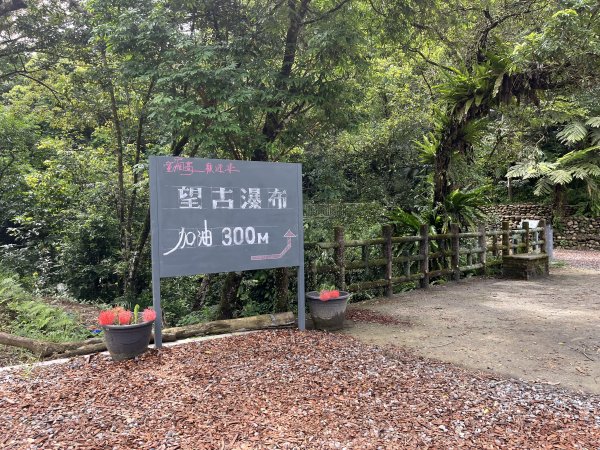 [微笑山線_第十二段] 2025_0803 五分山系_望古瀑布2851532