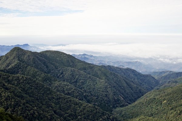 鳶嘴稍來山：晨曦與林相529069