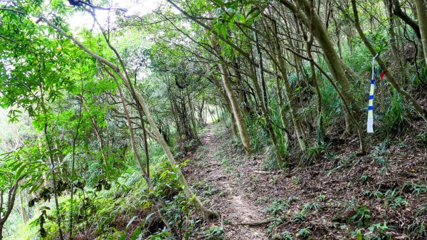 大邱田石門洞2856196