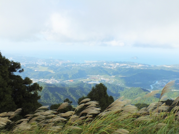 步道小旅行-賞芒聖地五分山3881