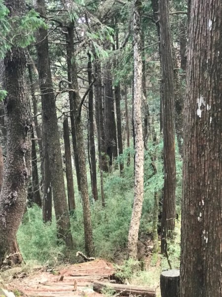 大雪山林道船型山鞍馬山537489