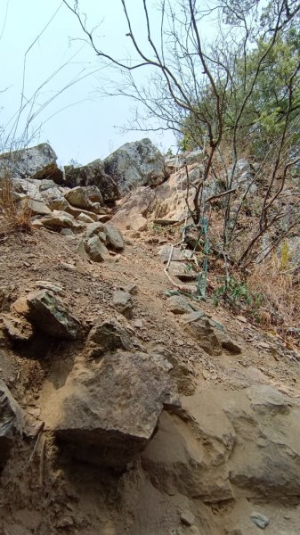 東卯山東南稜原路往返（德芙蘭步道小o繞）尋找失落的石觀音2082143