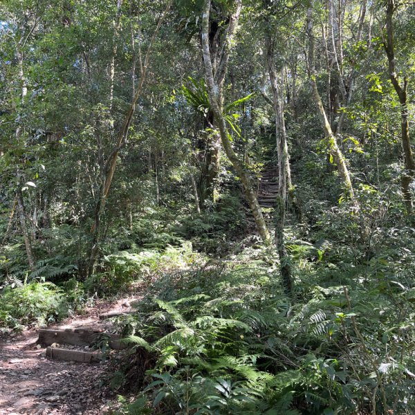 20151117_尾寮山（屏東小百岳）2941613