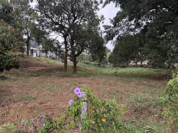 [山海圳_大圳之路_第一段] 2026_0228 茄拔天后宮_南湖口_烏山頭水庫3009044