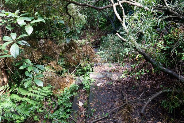 指南宮牌樓登山口408756