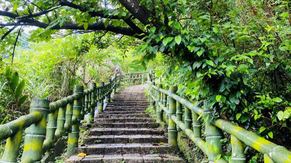 新北石門|老梅溪青山瀑布步道|台版奧入瀨溪|夏日消暑秘境|清涼親子景點1975450