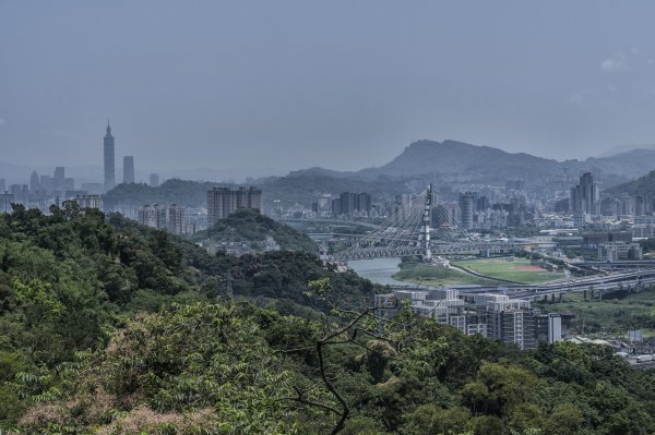 2020-5-13中和郊山(南勢角山,外挖子山)1410085