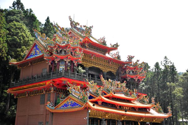 20251011追公車搭公車阿里山漫遊2910923