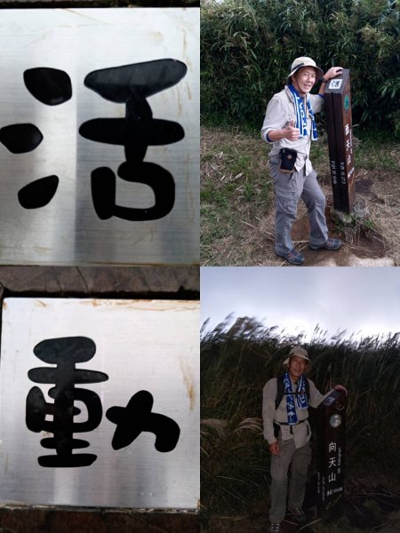 陽明山東西大縱走活動1153196