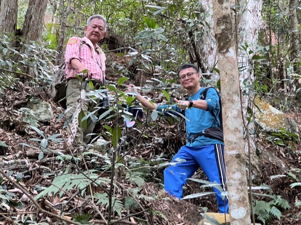 唐麻丹山O繞_20240127彰化野外育樂協會2411983