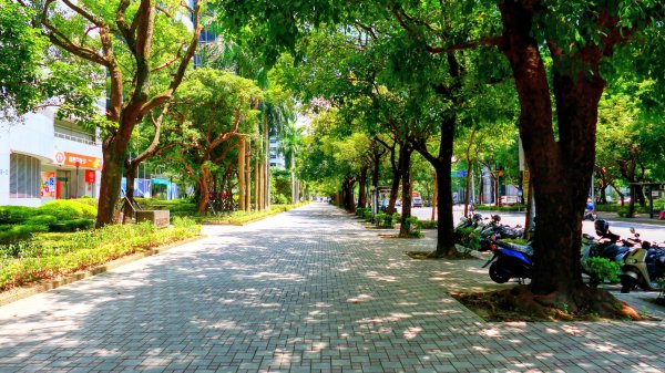 後山埤公園3082268