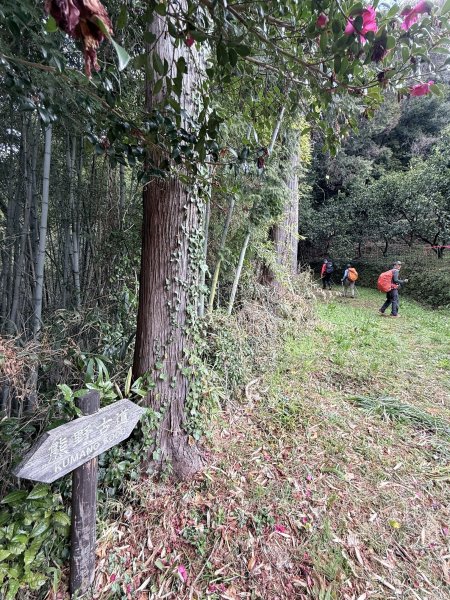 熊野古道中邊路D1 紀伊田邊、潮見峠O繞 2025.3.162744373