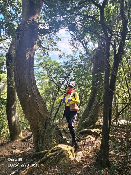 20251223芎林文林古道O走+雞寮坑山+芎林顯伯公野餐2975949