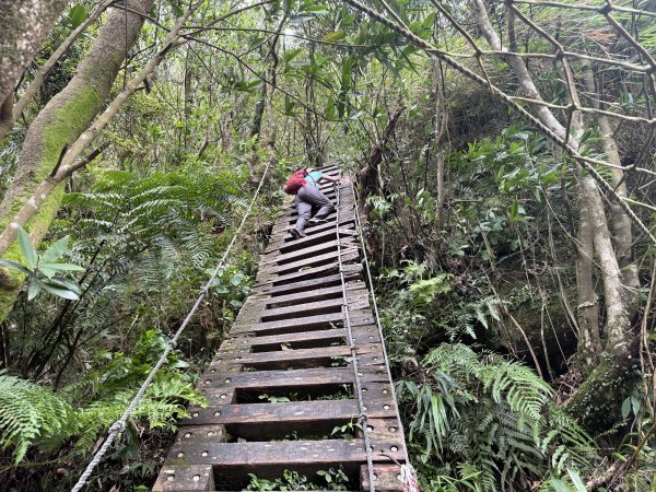 獅仔頭山 2025.07.202864270