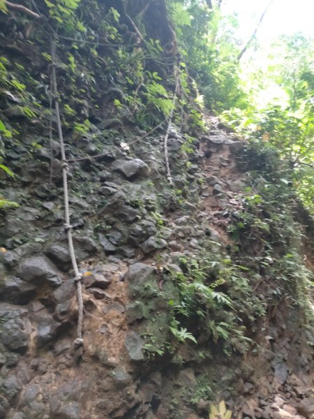 百大步道：蘭嶼大天池步道2804481