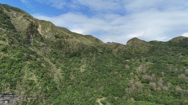 2025.11.29－草嶺古道芒花季2955985