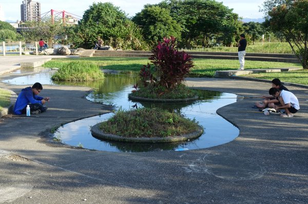 恐龍園區．江翠礫間水岸公園1171235