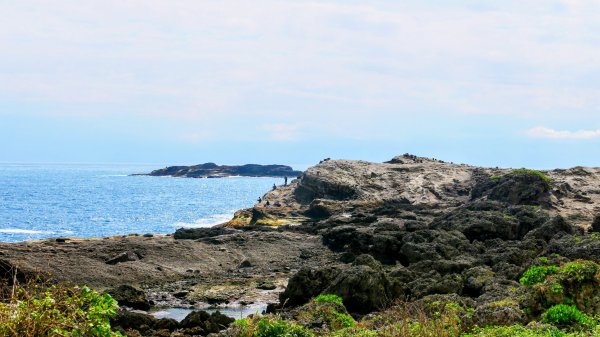 洄瀾東海岸3006663