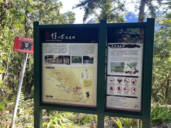 [玉山尋寶任務-03/12] 2025_0810 瓦拉米步道2857552