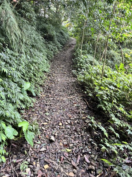 二格山、南邦寮山2941692