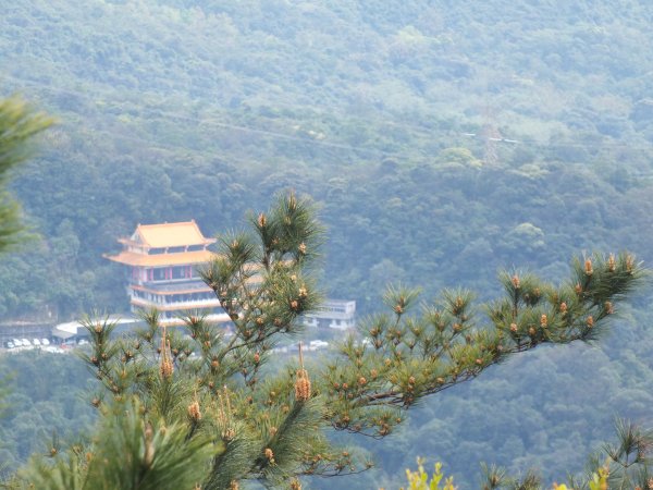 汐止區彩虹橋岩稜+柯子林山+金明山+如意湖O型2776138