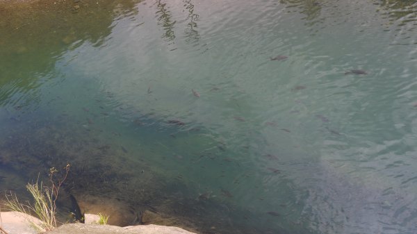 外按古道登山健行趣(淡蘭南路TK3-3)2269049