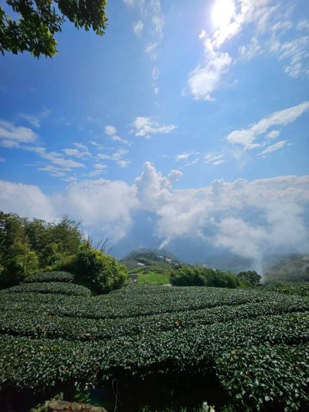 20260921 樟湖生態國小登後棟仔山挑筍古道上大、二尖山3121221