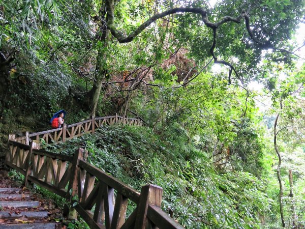 石夢谷 - 山、水、石、樹之美1142770