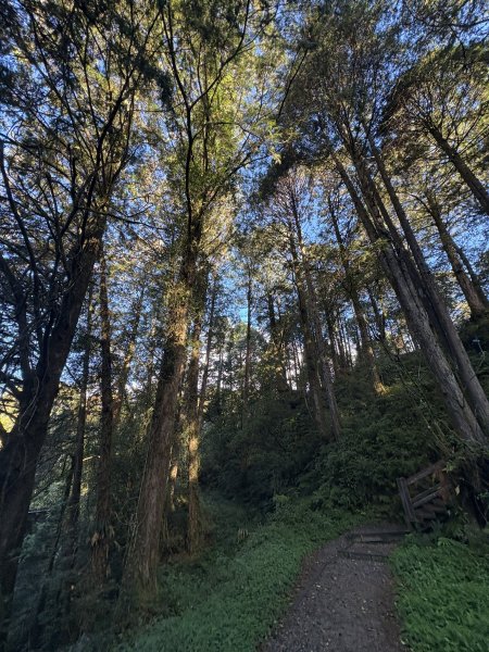 20251225塔山步道(大塔山)2970285