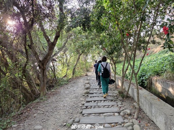 【台中烏日】知高圳步道x雪蓮步道x學田山3027120