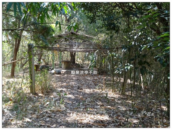 坪林山/台中-太平1283412