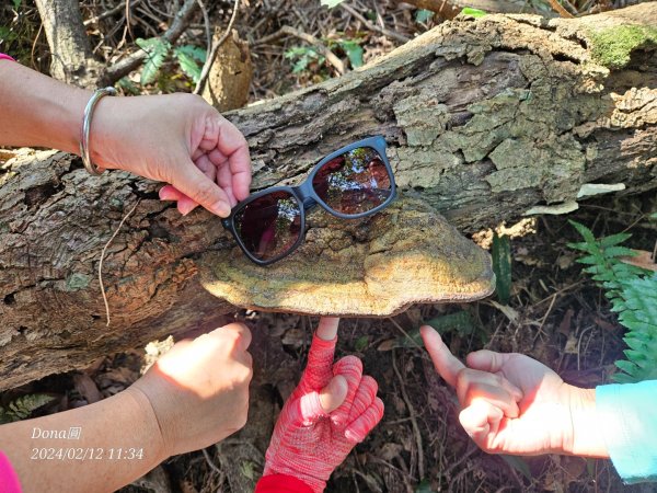 粗坑口尖.碇內尖.龍門山O型2985715